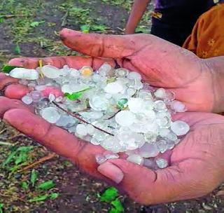 The sudden rains hit the rabbi | अवकाळी पावसाचा रब्बीला फटका