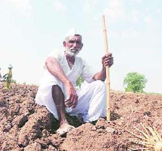 30 thousand crores investment in agriculture sector | कृषी क्षेत्रात ३० हजार कोटी रुपयांची गुंतवणूक