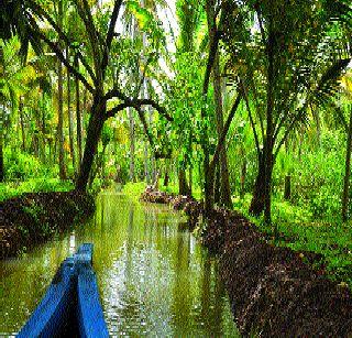 The drowning island will save! | बुडणारे बेट वाचविणार!