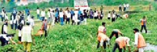 Cleanliness of Zartap River for Mahakali Yatra | महाकाली यात्रेसाठी झरपट नदीची स्वच्छता Cleanliness of Zartap River for Mahakali Yatra | महाकाली यात्रेसाठी झरपट नदीची स्वच्छता