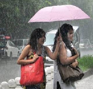 Indicating the sudden rain they had already given ... | अवकाळी पावसाचे त्यांनी आधीच दिले होते संकेत...