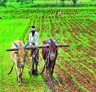 Debt again! | पुन्हा कर्जमाफी!