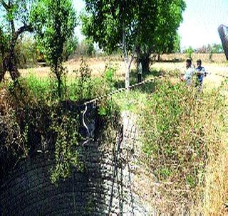 Lob life given to Cobra male and female | कोब्रा नर-मादीला दिले जीवनदान Lob life given to Cobra male and female | कोब्रा नर-मादीला दिले जीवनदान