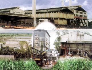 Nifed sugar factory resumed | निफाड साखर कारखाना पुन्हा अवसायनात