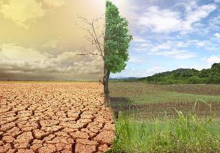 Challenges in the field of climate change in front of business | हवामान बदलाचे शेती व्यवसायासमोर आव्हान