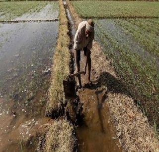 Farmers spend production! | शेतकऱ्यांना उत्पादन खर्च!