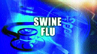 217 victims of swine flu in nine years | नऊ वर्षांत स्वाइन फ्लूचे २१७ बळी 217 victims of swine flu in nine years | नऊ वर्षांत स्वाइन फ्लूचे २१७ बळी