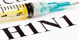 'Swine flu' thieves enter! | ‘स्वाईन फ्लू’चा चोरपावलांनी प्रवेश !
