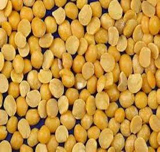 Eventually the purchase of pigeon pea! | अखेर तूर खरेदीला सुरुवात!