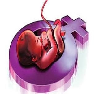 Health department has come to prevent pregnancy diagnosis! | गर्भलिंग निदान रोखण्याकरिता आरोग्य विभाग सरसावला! Health department has come to prevent pregnancy diagnosis! | गर्भलिंग निदान रोखण्याकरिता आरोग्य विभाग सरसावला!