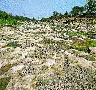 Rumble in Bhima riverbank! | भीमा नदीपात्रात खडखडाट!