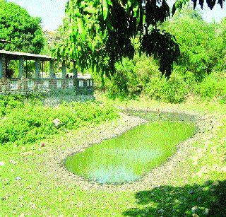 Will ancient Nageshwar lake become extinct due to ignorance? | प्राचीन नागेश्वर तलाव दुर्लक्षामुळे होणार नामशेष?