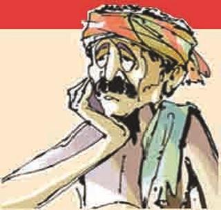 23 thousand farmers are eligible for soyabean subsidy! | सोयाबीन अनुदानासाठी २३ हजार शेतकरी पात्र! 23 thousand farmers are eligible for soyabean subsidy! | सोयाबीन अनुदानासाठी २३ हजार शेतकरी पात्र!