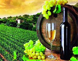 Nashik wine in 'Thyifax' | ‘थाईफेक्स’मध्ये नाशिक वाइन Nashik wine in 'Thyifax' | ‘थाईफेक्स’मध्ये नाशिक वाइन