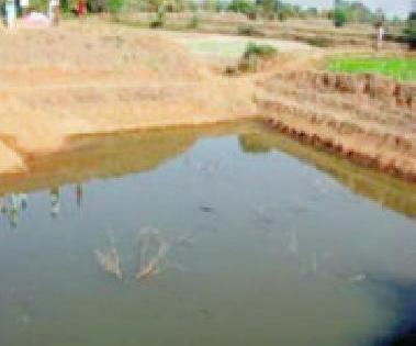 Over 450 farmers complete | ४५० वर शेततळे पूर्ण Over 450 farmers complete | ४५० वर शेततळे पूर्ण