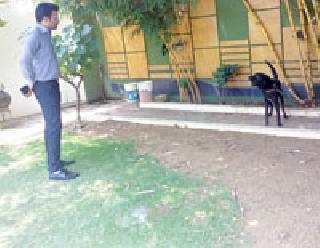 "That" inspection by the dog's health inspector | "त्या" श्वानाची स्वास्थ्य निरीक्षकाकडून पाहणी