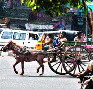 In the city there is a ban on horseback | शहरात घोडागाडीवर बंदी कायम