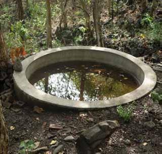 Tankers base in the fencing of forest area! | वन विभागातील तळ्यांना टँकरचा आधार!