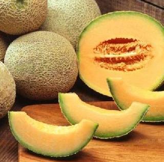 Health Tips - 5 Benefits of Melon Eating in the Summer | Health Tips - उन्हाळ्यात खरबूज खाण्याचे 5 फायदे