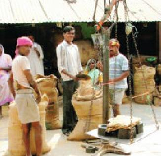 Distribution of 2.05 billion picks to 45 thousand 804 farmers | ४५ हजार ८०४ शेतकऱ्यांना २.०५ अब्जचे चुकारे वाटप