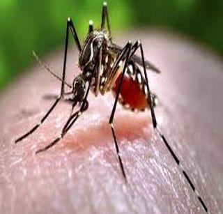 Dengue-like fever in Vadabare | वडबारे येथे डेंग्यूसदृश तापाची लागण