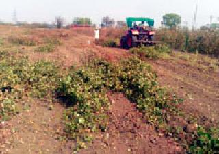 Kalpati's Ulangwadi; Kharif preparation | कपाशीची उलंगवाडी; खरिपाची तयारी