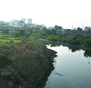 Security of the mangroves | खारफुटीची सुरक्षा धाब्यावर