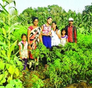 For the sake of vegetables, Bahe village topped the district | भाजीपाल्यासाठी बाहे गाव जिल्ह्यात अग्रस्थानी