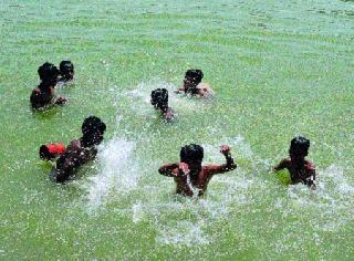 Children leap into the water by risking ...! | धोका पत्करून पाण्यात मुलांच्या उड्या...!