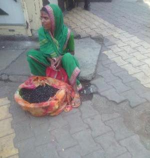 In the forest of cement! | सिमेंटच्या जंगलातही खुणावतोय सह्याद्रीतील रानमेवा !