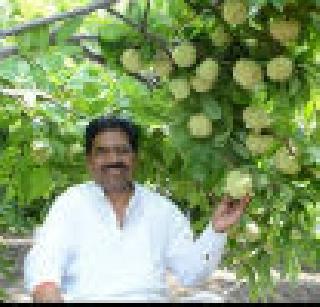 Solapur farmer Navnath Kaspate is the country's highest award | सोलापूरचे शेतकरी नवनाथ कसपटे यांना देशातील सर्वोच्च पुरस्कार जाहीर