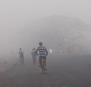 Dense dawn in the morning, woke up in the afternoon! | पहाटे दाट धुके, दुपारी कडक ऊन!