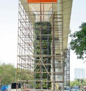 The vertical garden on the metro pillar | मेट्रोच्या पिलरवर व्हर्टिकल गार्डन