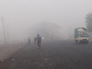 Dense dawn in the morning, woke up in the afternoon! | पहाटे दाट धुके, दुपारी कडक ऊन!