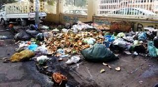 Threatened by throwing organic waste in schools! | शाळांजवळ जैविक कचरा फेकल्याने धोका! Threatened by throwing organic waste in schools! | शाळांजवळ जैविक कचरा फेकल्याने धोका!