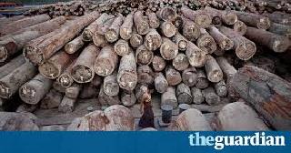 Illegal transportation of wood from the district! | जिल्ह्यातून लाकडाची अवैध वाहतूक! Illegal transportation of wood from the district! | जिल्ह्यातून लाकडाची अवैध वाहतूक!