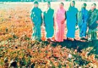 Women of Autonomous Bondage Group FULLWILLE TURBOJA Farming | स्वयंसहायता बचत गटाच्या महिलांनी फुलविली टरबूज शेती