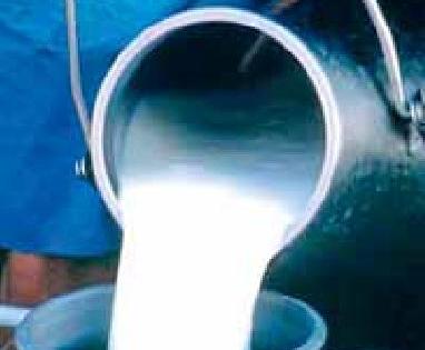 Milk producers profit of Rs 20 per liter | दूध उत्पादकांना लिटरमागे २० रुपयांचा नफा