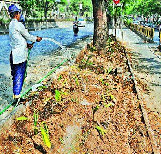 Water wastage in the city area | शहर परिसरात होतोय पाण्याचा अपव्यय