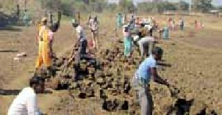 ROHOO works on 12 thousand laborers | रोहयो कामावर १२ हजार मजूर