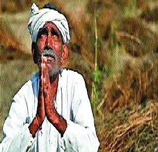No loss of money, but a complete reflection of the war! | कर्जमाफी नव्हे, लुटमारीचा संपूर्ण परतावाच हवा ! No loss of money, but a complete reflection of the war! | कर्जमाफी नव्हे, लुटमारीचा संपूर्ण परतावाच हवा !