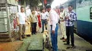 Sensational bag due to excitement at the railway station | बेवारस बॅगमुळे रेल्वेस्थानकावर खळबळ