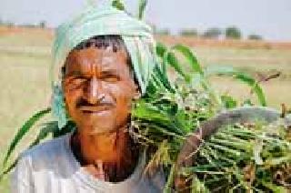 115 million debt waiver targets | ११५ कोटी कर्जवाटपाचे टार्गेट