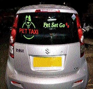 Taxi service now also for animals | प्राण्यांसाठीही आता टॅक्सीसेवा