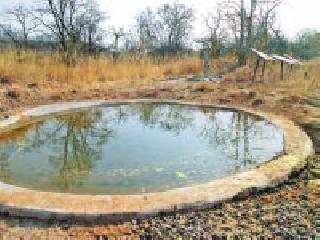 Thirsty wild animals flee from eight pumps | आठ पंपातून भागते वन्यप्राण्यांची तहान