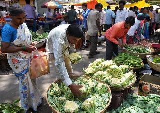 Prices of pulses increased | डाळींच्या दरात वाढ