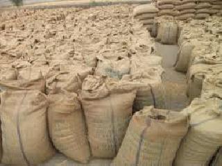 9 500 quintals of tur to rest in the purchase center | तूर खरेदी केंद्रावर ९५०० क्विंटल तूर बाकी 9 500 quintals of tur to rest in the purchase center | तूर खरेदी केंद्रावर ९५०० क्विंटल तूर बाकी