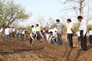 Shramdanan done 16 hectare water conservation work! | श्रमदानाने केले १६ हेक्टरवर जलसंवर्धनाचे काम!