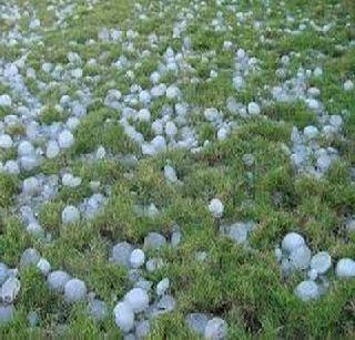 Due to the hail, the rain was shattered with hailstorm | गारपिटीसह अवकाळी पावसाने झोडपले