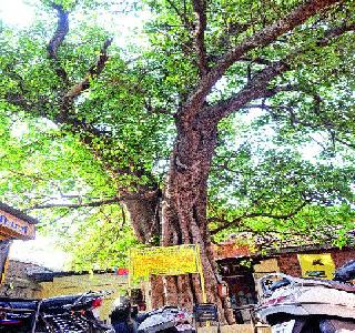 Metro is about the historical heritage | मेट्रो ऐतिहासिक वारशाच्या मुळावर